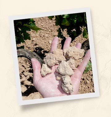 Ribera de Duero Terroir1