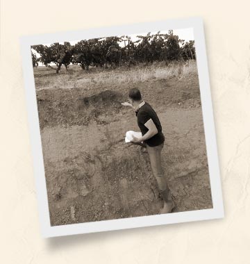 Terroir Consultant