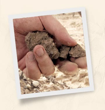 Terroir Consultant