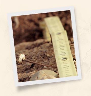 Terroir Consultant